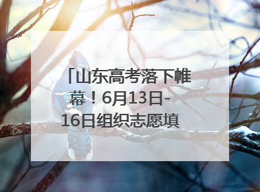 山东高考落下帷幕！6月13日-16日组织志愿填报模拟演练
