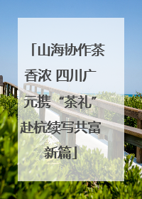 山海协作茶香浓 四川广元携“茶礼”赴杭续写共富新篇