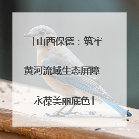 山西保德：筑牢黄河流域生态屏障 永葆美丽底色