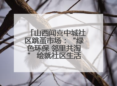 山西闻喜中城社区跳蚤市场：“绿色环保 邻里共淘” 绘就社区生活多彩画卷