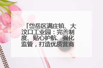 岱岳区满庄镇、大汶口工业园：完善制度、贴心护航、强化监管，打造优质营商“强磁场”