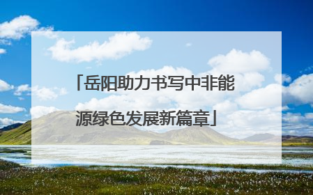 岳阳助力书写中非能源绿色发展新篇章