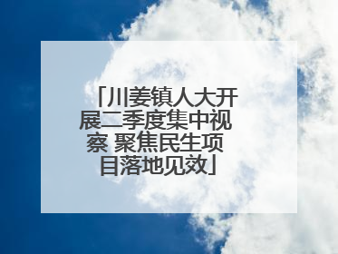 川姜镇人大开展二季度集中视察 聚焦民生项目落地见效