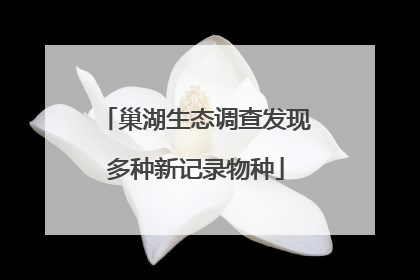 巢湖生态调查发现多种新记录物种