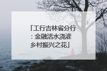 工行吉林省分行：金融活水浇灌 乡村振兴之花