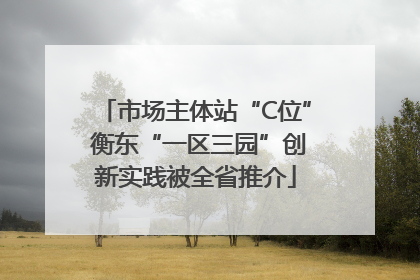 市场主体站“C位” 衡东“一区三园”创新实践被全省推介