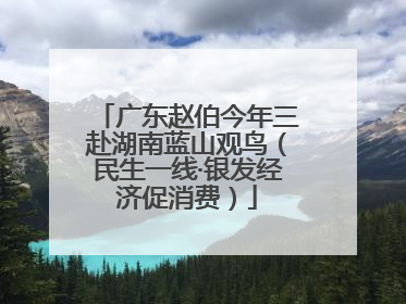 广东赵伯今年三赴湖南蓝山观鸟（民生一线·银发经济促消费）