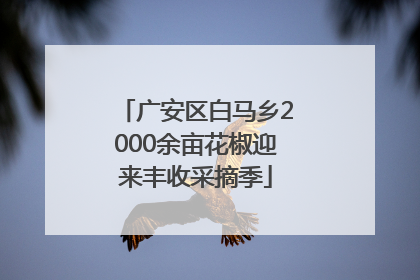 广安区白马乡2000余亩花椒迎来丰收采摘季