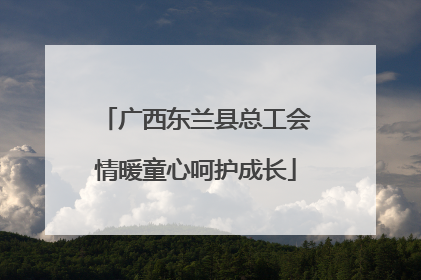 广西东兰县总工会情暖童心呵护成长