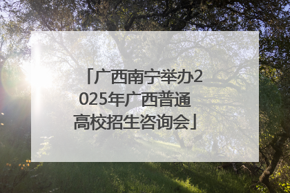 广西南宁举办2025年广西普通高校招生咨询会