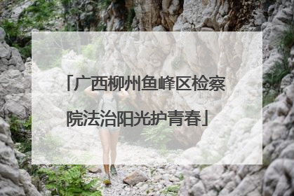 广西柳州鱼峰区检察院法治阳光护青春