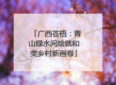 广西苍梧：青山绿水间绘就和美乡村新画卷