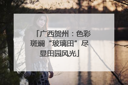 广西贺州：色彩斑斓“玻璃田”尽显田园风光