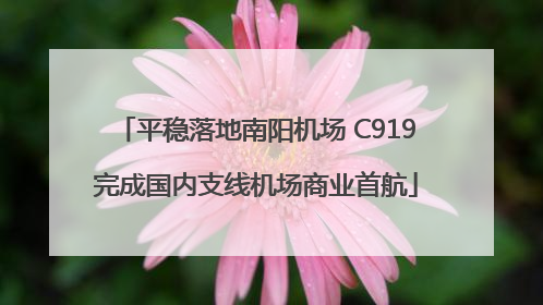 平稳落地南阳机场 C919完成国内支线机场商业首航