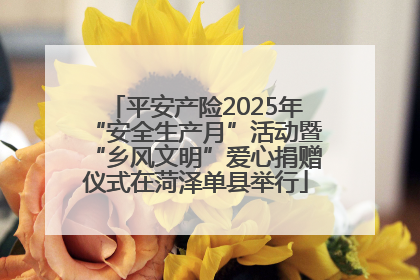 平安产险2025年“安全生产月”活动暨“乡风文明”爱心捐赠仪式在菏泽单县举行
