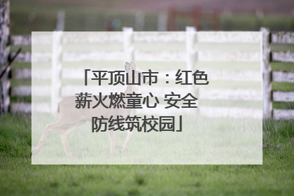 平顶山市：红色薪火燃童心 安全防线筑校园
