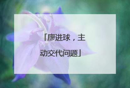 廖进球，主动交代问题