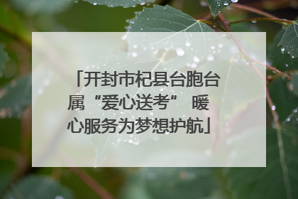 开封市杞县台胞台属“爱心送考” 暖心服务为梦想护航
