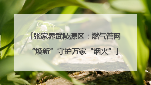 张家界武陵源区：燃气管网“焕新”守护万家“烟火”