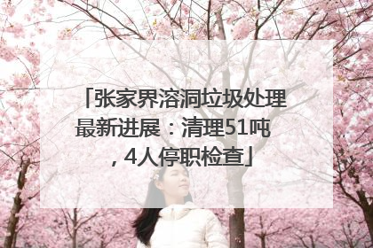 张家界溶洞垃圾处理最新进展：清理51吨，4人停职检查