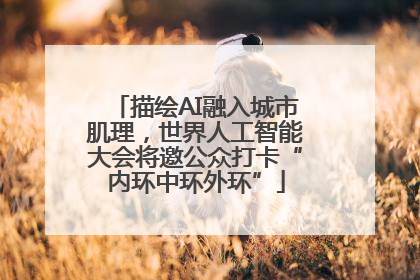 描绘AI融入城市肌理，世界人工智能大会将邀公众打卡“内环中环外环”
