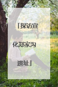 探访宣化郑家沟遗址