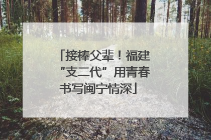 接棒父辈！福建“支二代”用青春书写闽宁情深