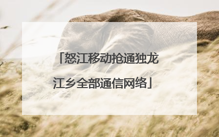 怒江移动抢通独龙江乡全部通信网络
