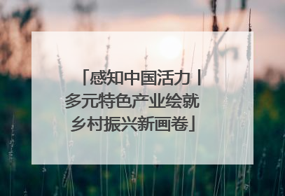 感知中国活力丨多元特色产业绘就乡村振兴新画卷