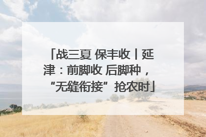 战三夏 保丰收丨延津：前脚收 后脚种，“无缝衔接”抢农时