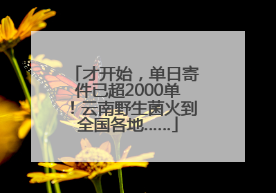 才开始，单日寄件已超2000单！云南野生菌火到全国各地……