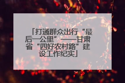 打通群众出行“最后一公里”——甘肃省“四好农村路”建设工作纪实