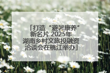打造“避暑康养”新名片 2025年湖南乡村文旅投融资洽谈会在桃江举办