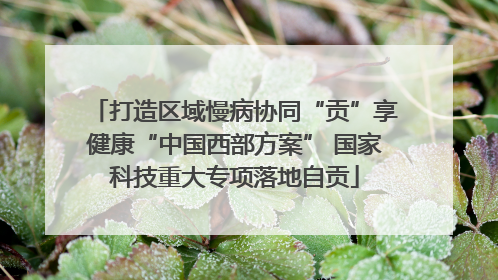 打造区域慢病协同“贡”享健康“中国西部方案” 国家科技重大专项落地自贡