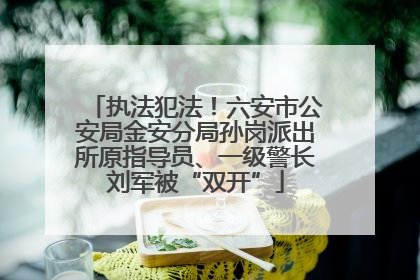 执法犯法！六安市公安局金安分局孙岗派出所原指导员、一级警长刘军被“双开”
