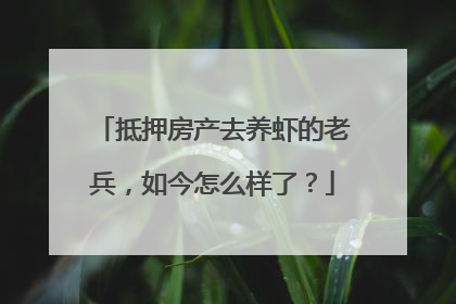 抵押房产去养虾的老兵，如今怎么样了？