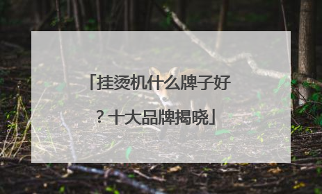 挂烫机什么牌子好？十大品牌揭晓