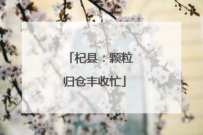 杞县：颗粒归仓丰收忙
