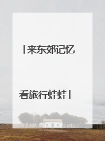 来东郊记忆 看旅行蛙蛙