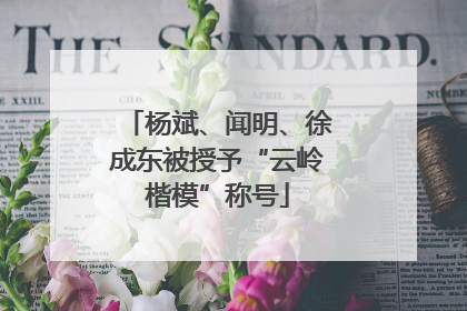 杨斌、闻明、徐成东被授予“云岭楷模”称号