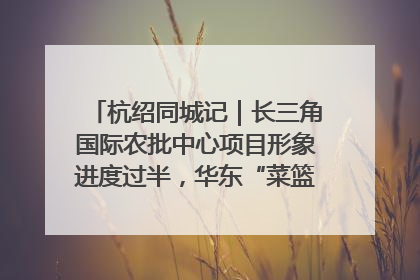 杭绍同城记｜长三角国际农批中心项目形象进度过半，华东“菜篮子”建设加码提速！