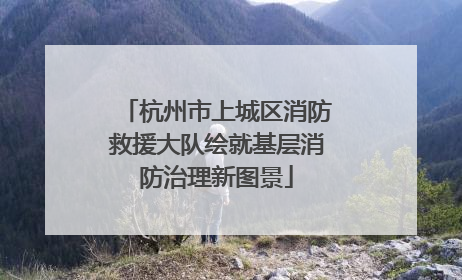 杭州市上城区消防救援大队绘就基层消防治理新图景