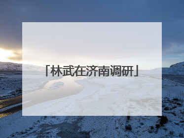 林武在济南调研