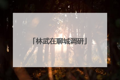林武在聊城调研