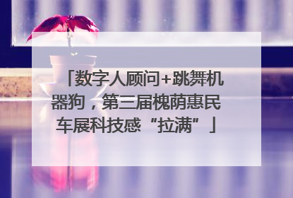 数字人顾问+跳舞机器狗，第三届槐荫惠民车展科技感“拉满”