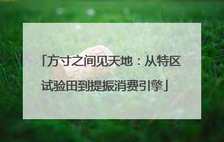 方寸之间见天地：从特区试验田到提振消费引擎