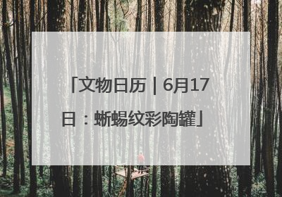 文物日历｜6月17日：蜥蜴纹彩陶罐