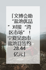 文博会助“盐池优品”对接“湾区市场”！宁夏吴忠市盐池县签约28.44亿元