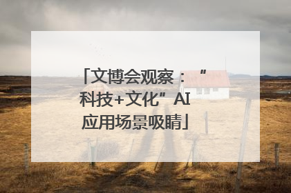 文博会观察：“科技+文化”AI应用场景吸睛