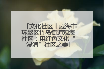 文化社区丨威海市环翠区竹岛街道观海社区：用红色文化“浸润”社区之美
